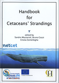 Cetacean's strandings